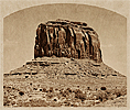 Cactus Claw #751